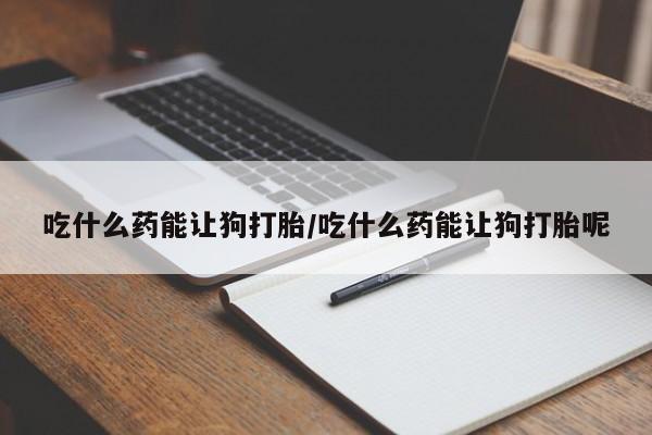 流产药怎么购买吃什么药能让狗打胎/吃什么药能让狗打胎呢