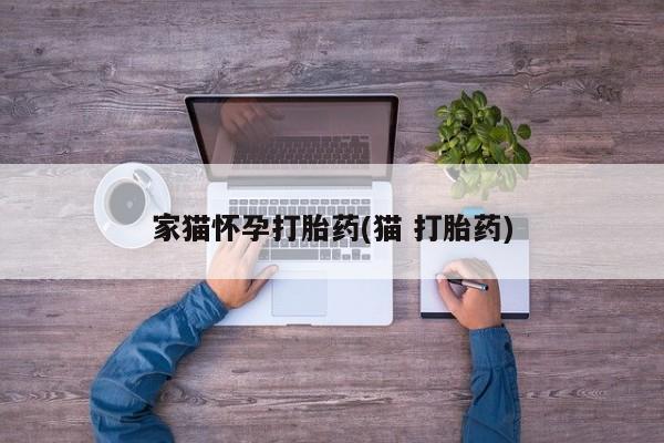 流产药怎么购买家猫怀孕打胎药(猫 打胎药)